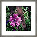 Wet 'n Wild Flower Framed Print