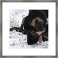 What Is The Taste Of Snow  2 Framed Print