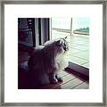 What's Out There For Me Today? Framed Print
