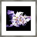 When You Came Into My Dream #flower Framed Print