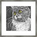 Whiskers - Color Tinted Art Print Framed Print