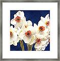 White Bouquet Framed Print