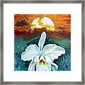 White Life On Blue Planet Framed Print