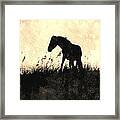 Wild And Protected Framed Print