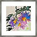 Wild Asters Framed Print