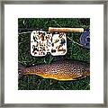 Wild Brown Trout And Fishing Rod Framed Print