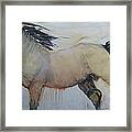 Wild Horse 1 2012 Framed Print