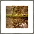 Willow On The Pond Framed Print
