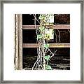 Window On The Past Framed Print