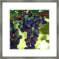 Wine To Be Framed Print