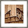 Athens, Greece - Winged Encounter Framed Print
