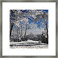 Winter Morning Framed Print