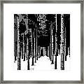 Winter Path Framed Print