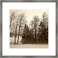 Winter Treeline Framed Print