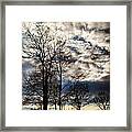 Winters Beauty Framed Print