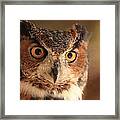 Wise Old Owl Framed Print