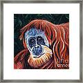 Wise One - Orangutan Wildlife Painting Framed Print
