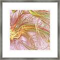 Wispy Willow Framed Print