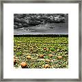 With Halloween Darkness Comes Framed Print