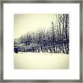 #wood #trees #snow #winter #park #feels Framed Print