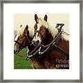 Work Horses Framed Print