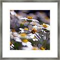 Yellow And White Framed Print