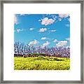 Yellow Blue And Trees Framed Print