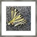 Yellow Butterfly Framed Print