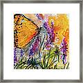 Yellow Butterfly On Lupines Framed Print