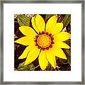 Yellow Framed Print