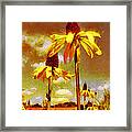 Yellow Echinacea  Van Gogh Style Framed Print