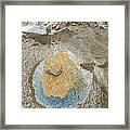 Yellow Rock And Pool  Meade Glacier Framed Print