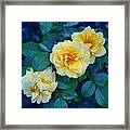 Yellow Roses Framed Print