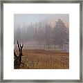 Yellowstone At Dawn Framed Print