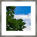 Yin/yang Tree And Sky. Pretty! #tree Framed Print
