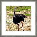 You Look At Me I Look At You Framed Print