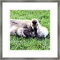 You Looking At Me Framed Print