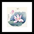 Blossoms Of China - Lotus Framed Print Blossoms Of China - Lotus Framed Print