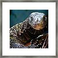 A Crocodile Monitor Portrait Framed Print