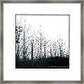 - Forest Simplicity- Framed Print