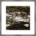 Little Stream At The Hermitage Framed Print