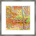 Woods In Autumn Montgomery Cty Pennsylvania Framed Print