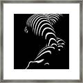 0774-ar Zebra Striped Figure Of A Large Woman Fine Art Photograph By Chris Maher Framed Print