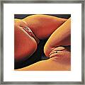 0886s-hb-tr Explicit Watercolor Of Two Women Vulva To Vulva Framed Print