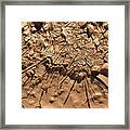 Abstract 5 #1 Framed Print