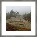 Acadia National Park Photography #1 Framed Print