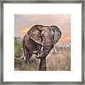 African Elephant Painting #1 Framed Print