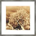 After The Ice Storm #1 Framed Print