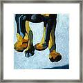 All Fours #1 Framed Print