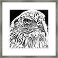 American Bald Eagle #1 Framed Print